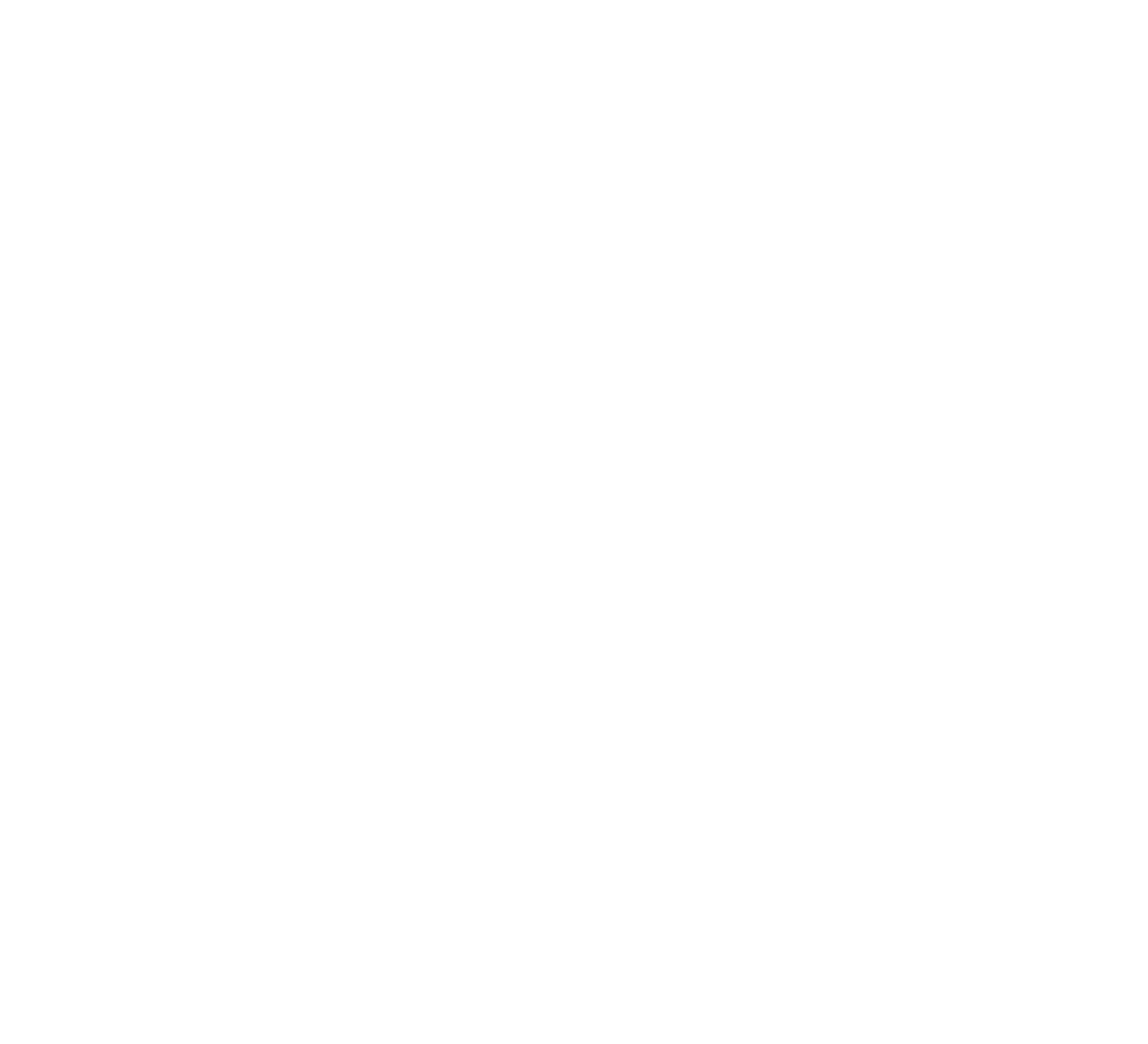 logo mariasplace wit
